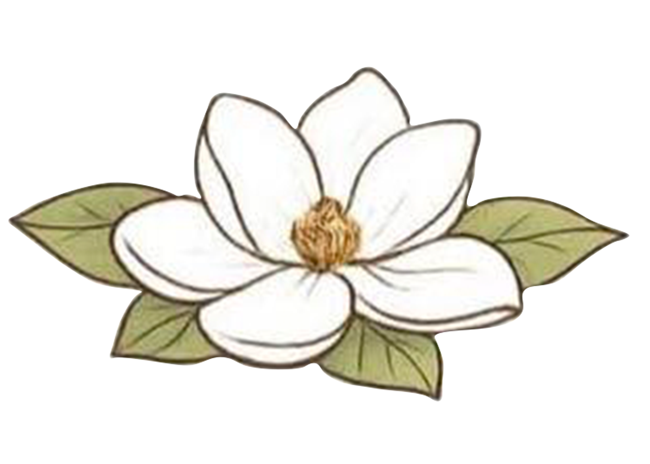 Magnolia Mold Co logo